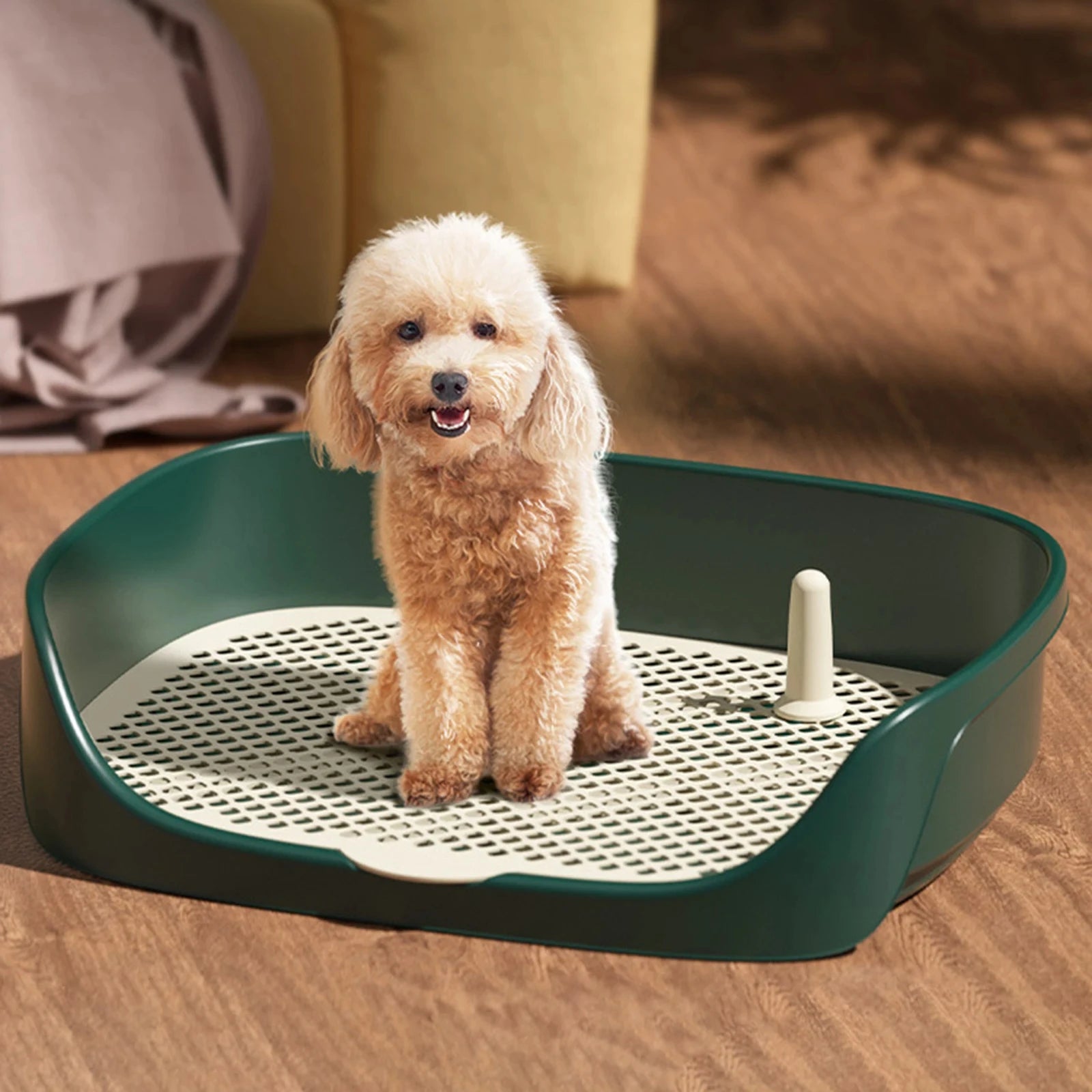 Portable Dog Potty Trainer Anti-Splash Litter Box