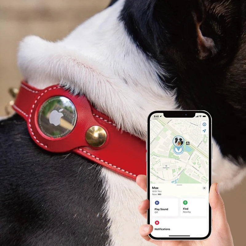 Custom Logo Leather Dog Collar with AirTag Holder 5