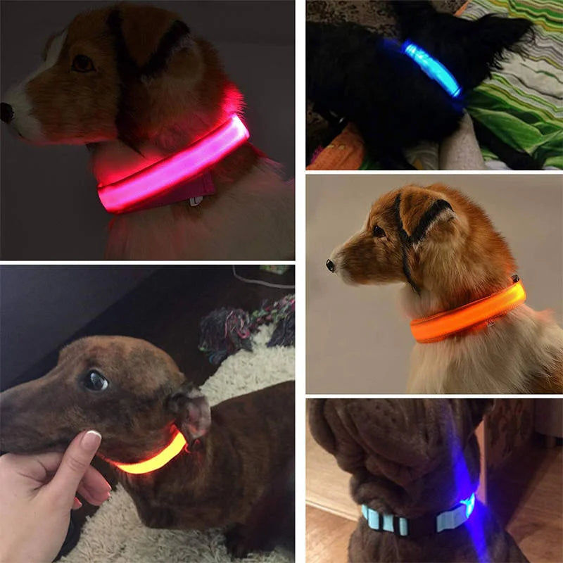 LED Nylon Dog Collar Adjustable Night Safety Glow