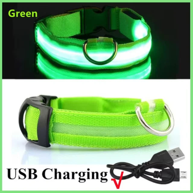 LED Nylon Dog Collar Adjustable Night Safety Glow 10