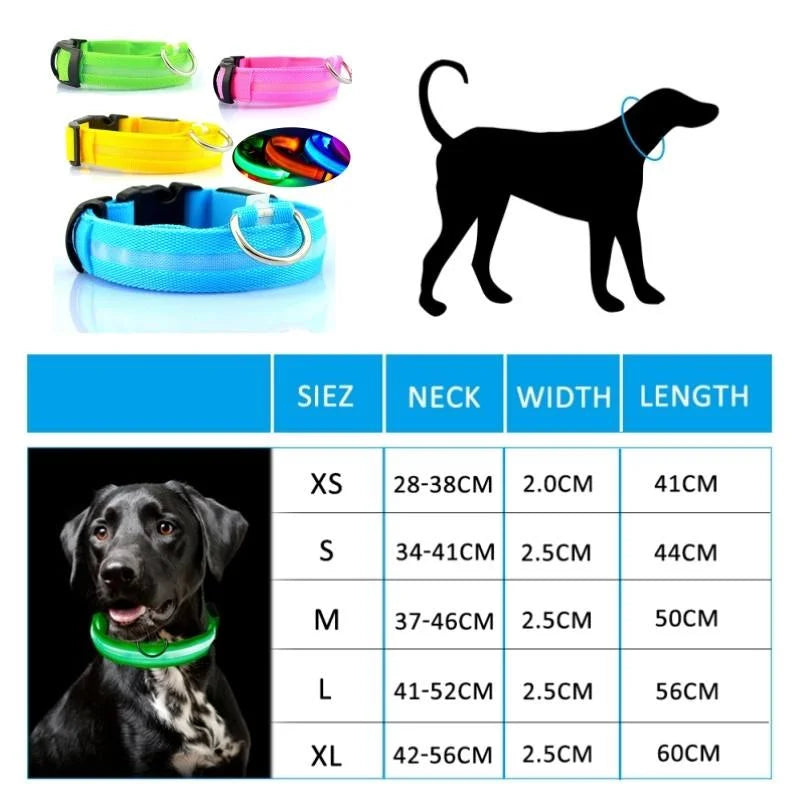 LED Nylon Dog Collar Adjustable Night Safety Glow 4
