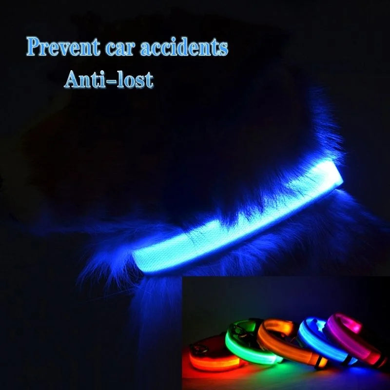 LED Nylon Dog Collar Adjustable Night Safety Glow 5