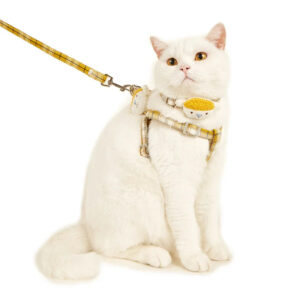 Waterproof Adjustable Cat Harness & Leash Set - Anti-Strangulation Design